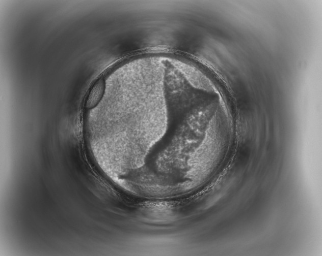 X0000095671450200802051220