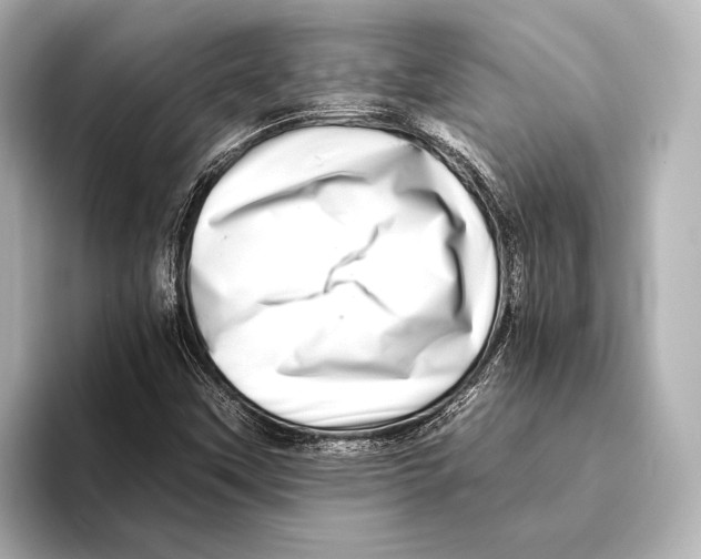 X0000095671451200802051220