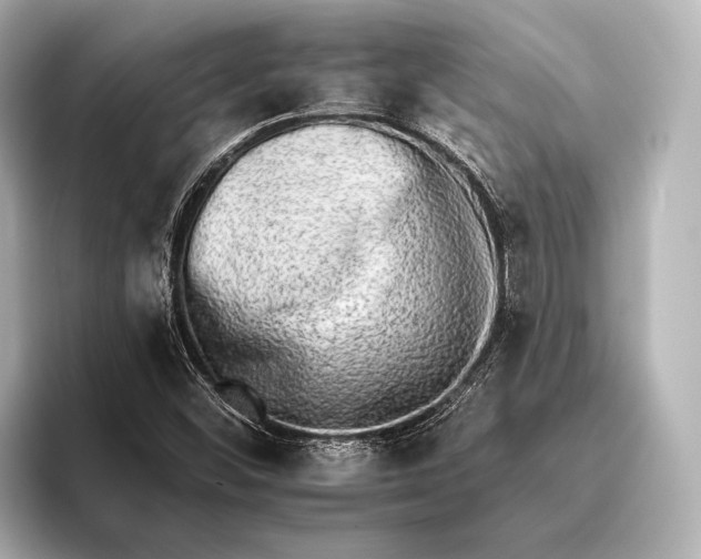 X0000095671452200802051220