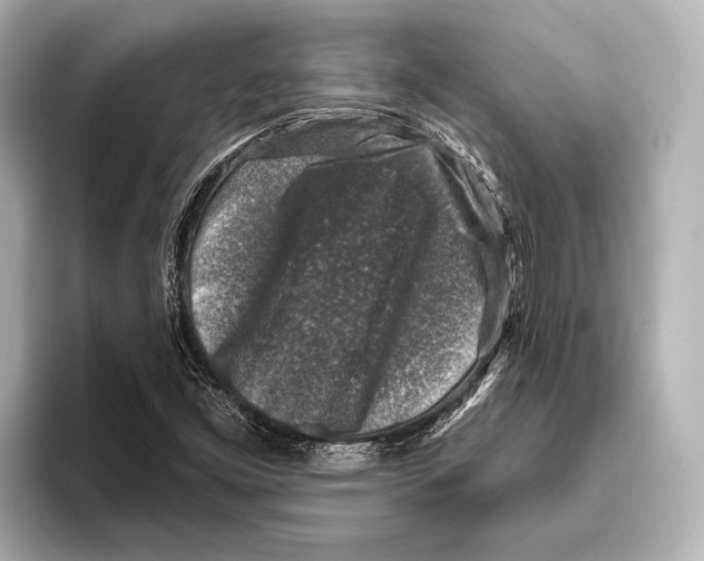 X0000095671453200802051220