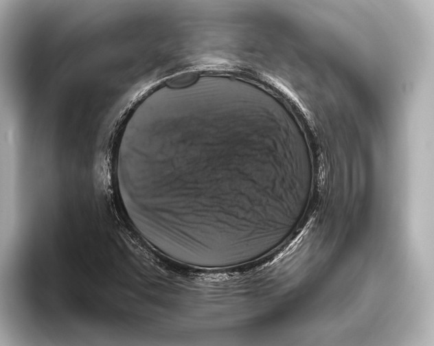 X0000095671455200802051220