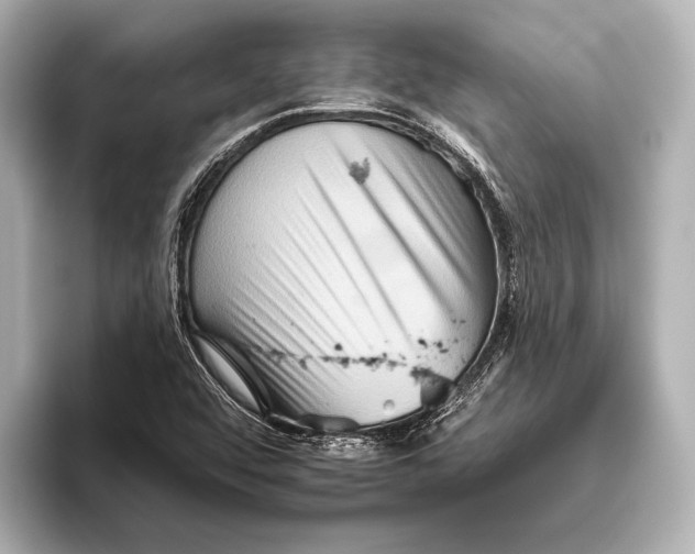 X0000095671456200802051220