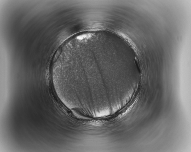 X0000095671457200802051220