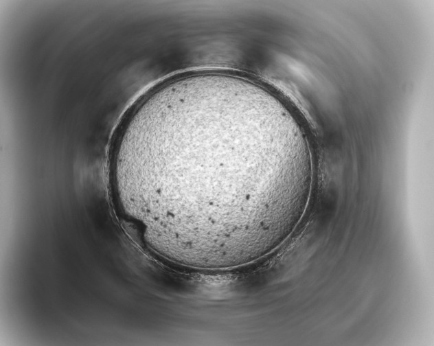 X0000095671460200802051220