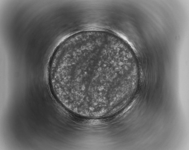 X0000095671463200802051220