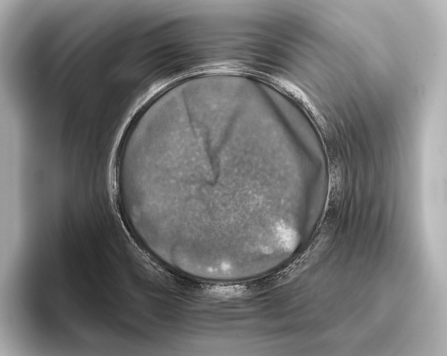 X0000095671466200802051220