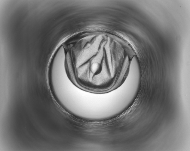 X0000095671467200802051220