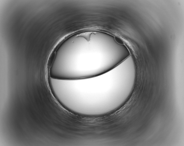 X0000095671468200802051220