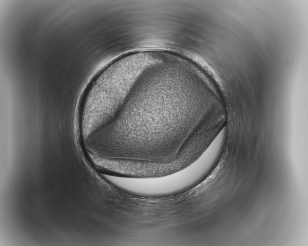 X0000095671469200802051220