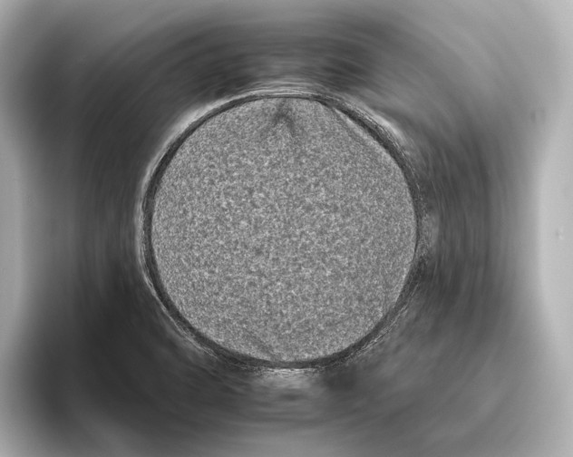 X0000095671470200802051220