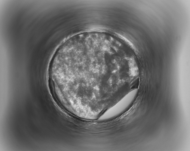 X0000095671471200802051220