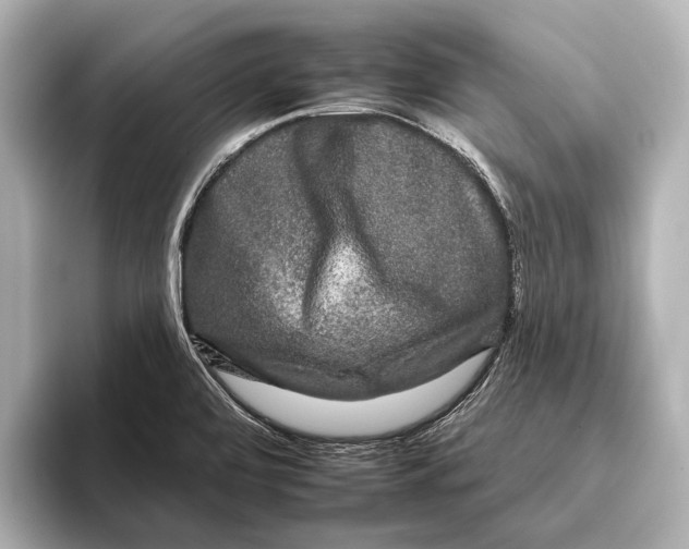 X0000095671472200802051220