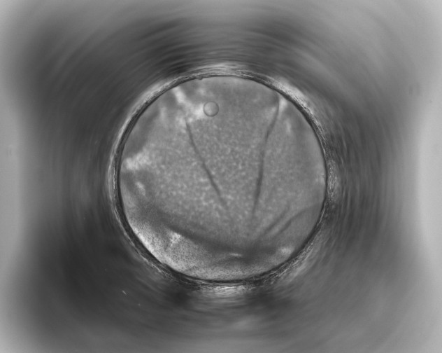 X0000095671474200802051220