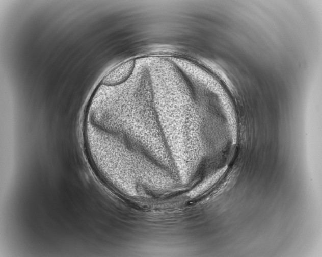 X0000095671475200802051220