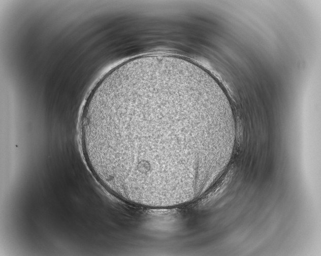 X0000095671478200802051220