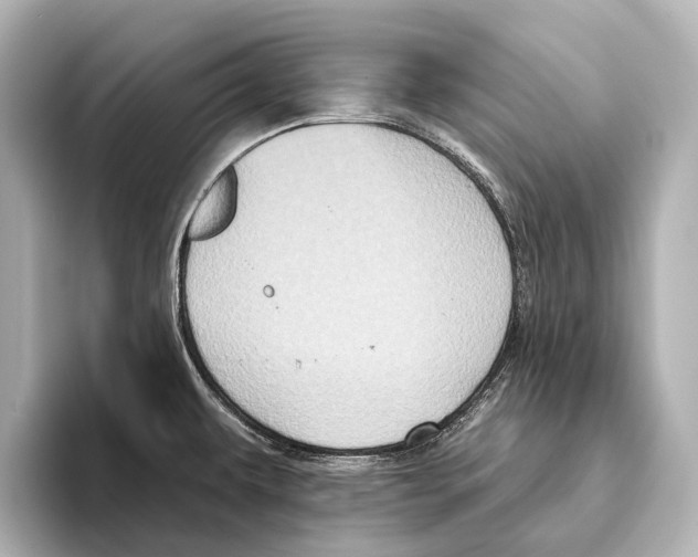 X0000095671479200802051220