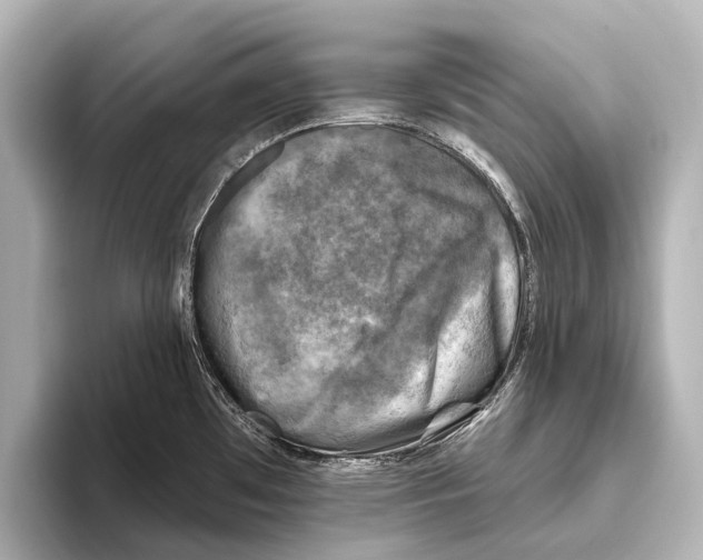 X0000095671481200802051220