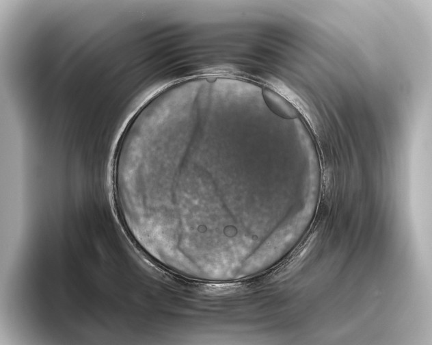 X0000095671482200802051220