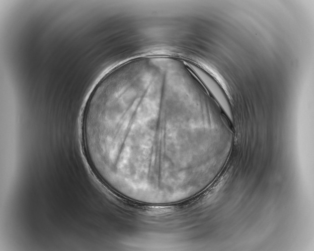 X0000095671483200802051220