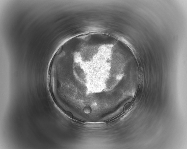 X0000095671487200802051220