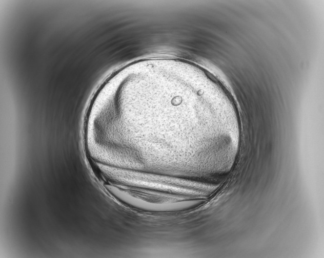 X0000095671488200802051220