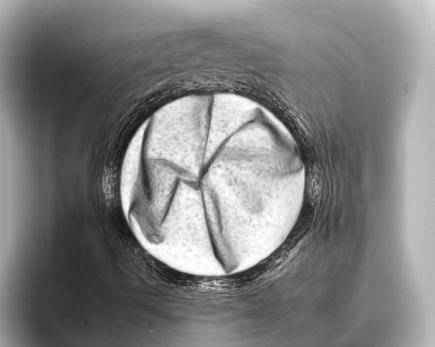 X0000095671490200802051219