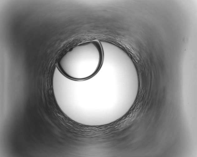 X0000095671492200802051219