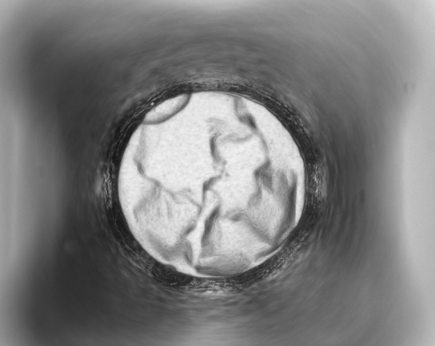 X0000095671493200802051219