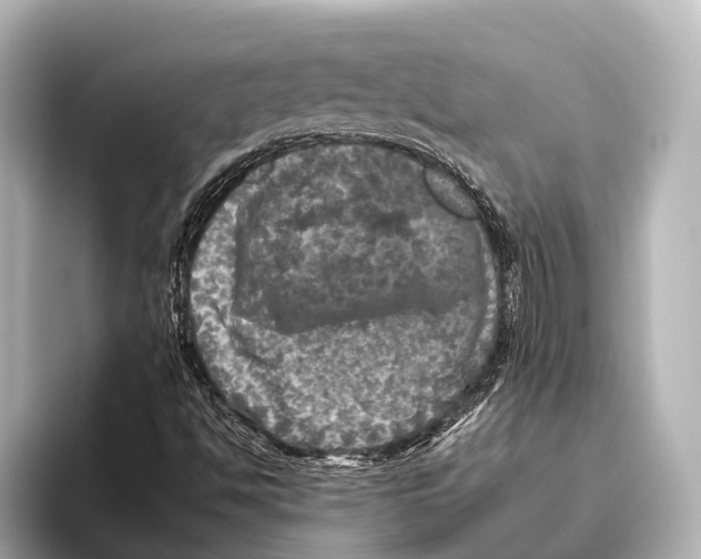 X0000095671494200802051219