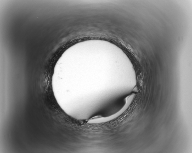 X0000095671495200802051219