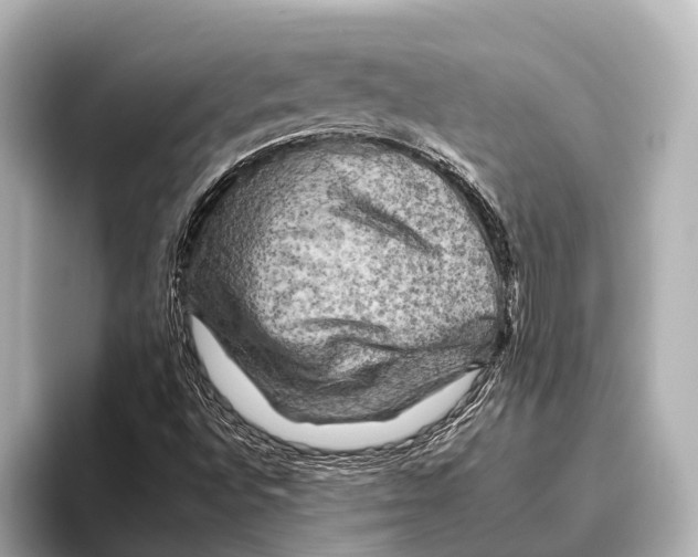 X0000095671496200802051219