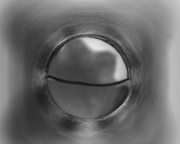 X0000095671497200802051219