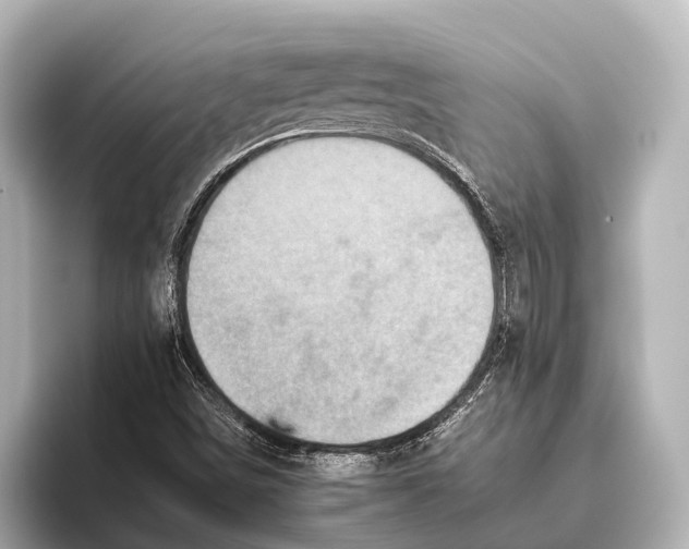 X0000095671498200802051219