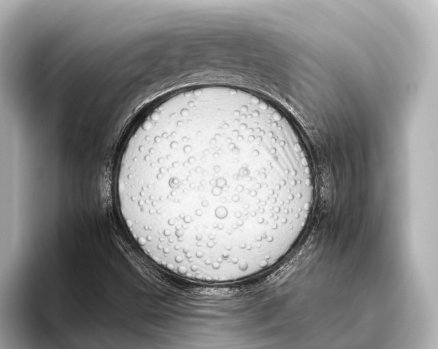 X0000095671499200802051219