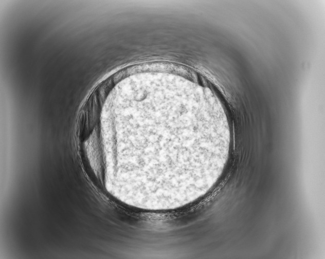 X0000095671500200802051219