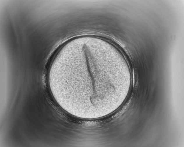 X0000095671501200802051219