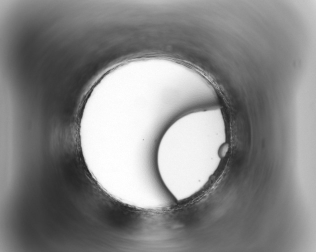 X0000095671502200802051219