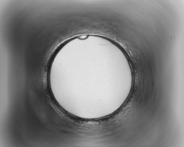 X0000095671503200802051219