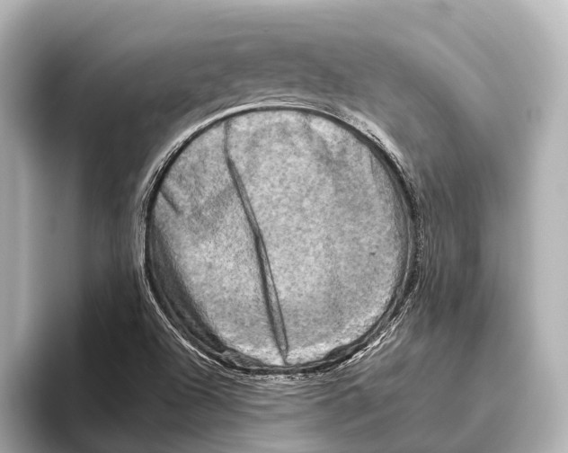 X0000095671504200802051219