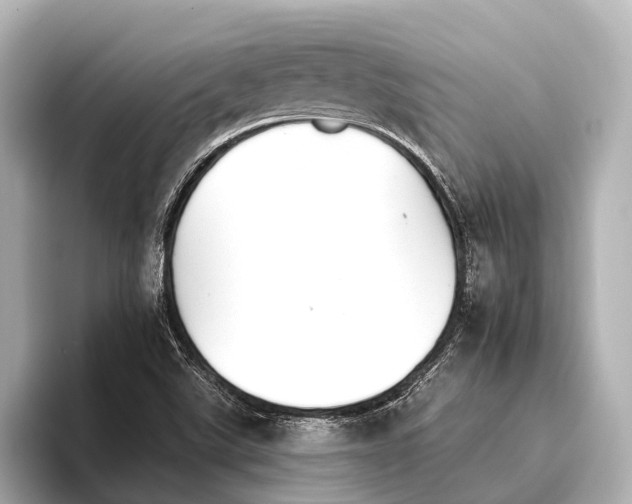 X0000095671507200802051219