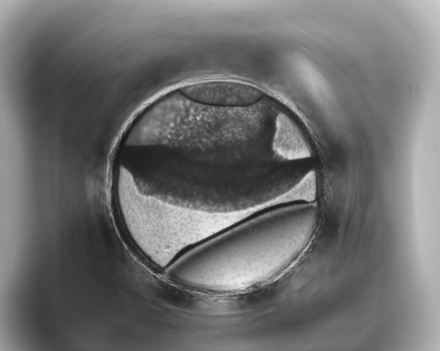 X0000095671508200802051219