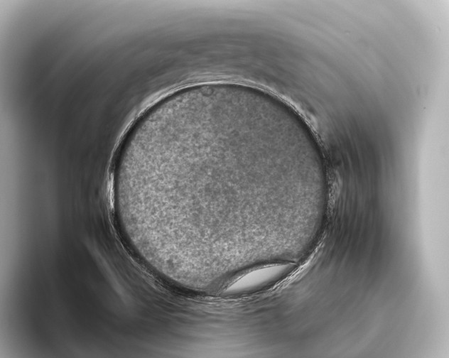 X0000095671509200802051219