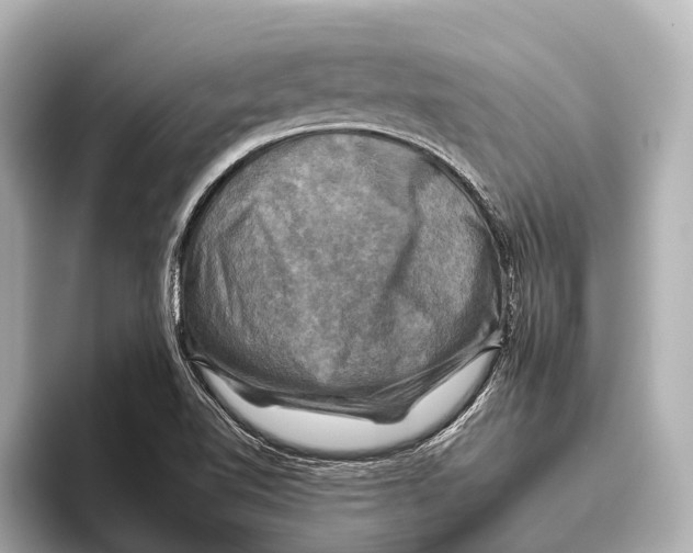 X0000095671510200802051219