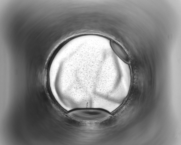 X0000095671511200802051219