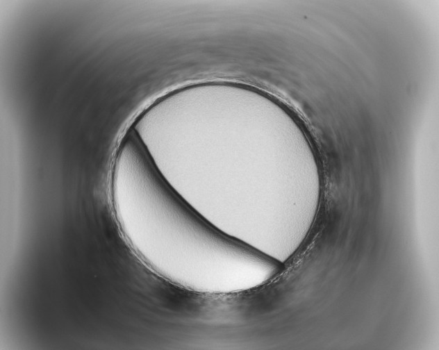 X0000095671512200802051219