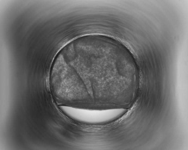 X0000095671513200802051219