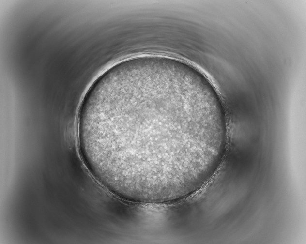 X0000095671514200802051219