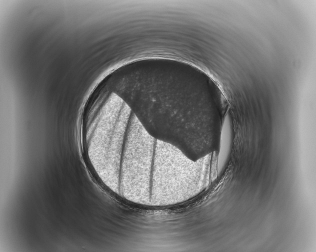 X0000095671515200802051219