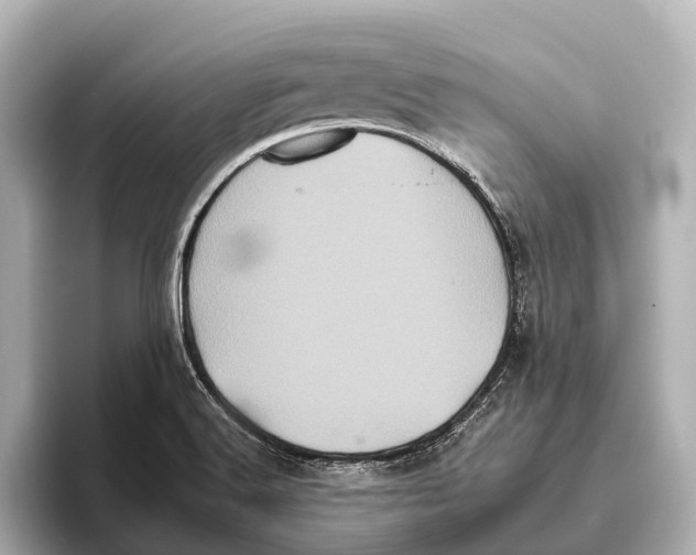 X0000095671516200802051219