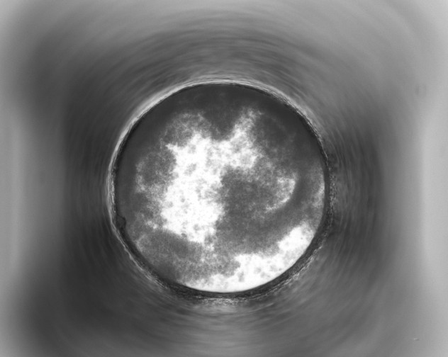 X0000095671517200802051219